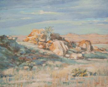 "Early Light - Namib"