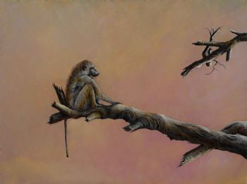 "Equilibrium"