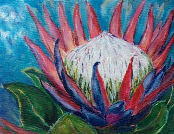 "Special Protea"