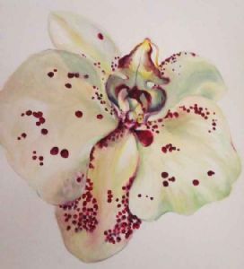 "Orchid No. 1"