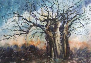 "Baobab at Night"