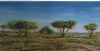 "Landscape of the Bush in Pilanesberg"