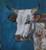 "Nguni Bull "