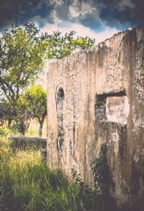 "Abandoned"