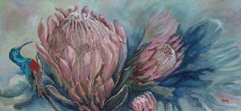 "Protea and Sun Bird "