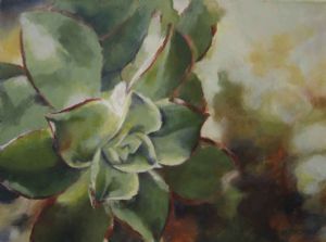 "Succulent Closeup"