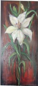 "Single Lily"