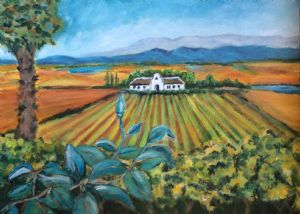 "Wine Farm in Montague"