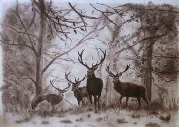 "Into the Woods"
