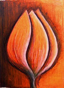 "Clementine Tulip"