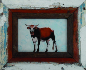"Nguni"