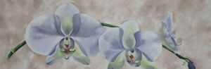 "Purple Orchids"