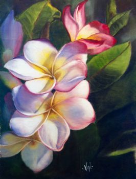 "Pink Beauty"