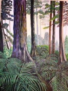 "Outeniqua Forest"