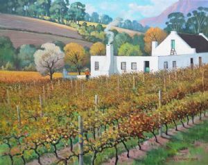 "Vineyards and Farm House Stellenbosch"