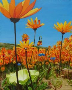 "Daisy Time in Springbokfontein"