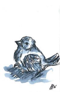 "Careless Dove"