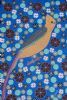 "Flycatcher"