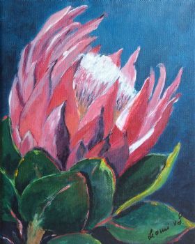 "Wonderful Protea"