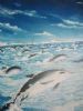 "Dolphins"