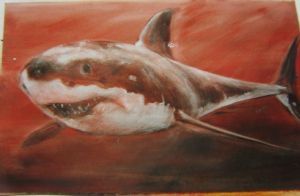 "Great White Shark"