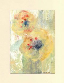 "Namaqualand Wild Flowers 02"