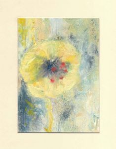 "Namaqualand Wild Flowers 03"