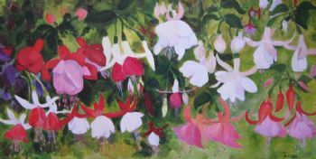 "Fuchsias"