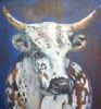 "Nguni 1"