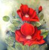 "Red Rose"