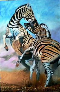 "Fighting Zebras"