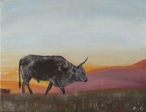 "Nguni Sunset"