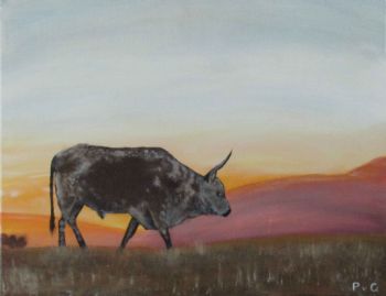 "Nguni Sunset"