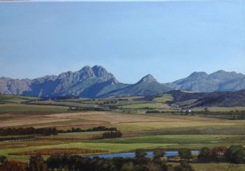 "Stellenbosch Landscape"