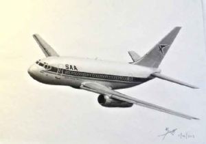 "Boeing 737 in Flight"