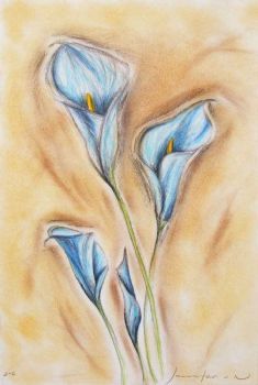 "A Study of Zantedeschia"