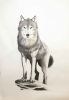 "Feed The Right Wolf"