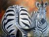 "Two Zebras"