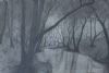 "Twilight"