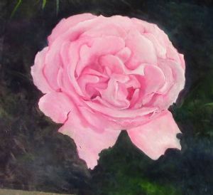 "Pink Rose Open"
