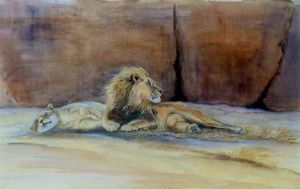 "Lazy Lions"