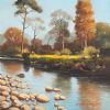 "Morning Light Eerste River Stellenbosch"