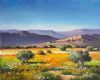 "Namaqua Landscape with Clear Sky"