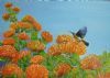 "A Sugar Bird Visiting the Pincushion Proteas"