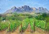 "Boland Wine Farm"