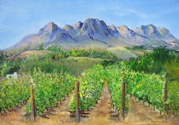 "Boland Wine Farm"