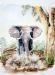 Charging Elephant