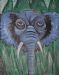 Elephant in the Jungle