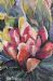 A Kleinmond walk about