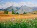 Cosmos in the Orange Free State South Africa